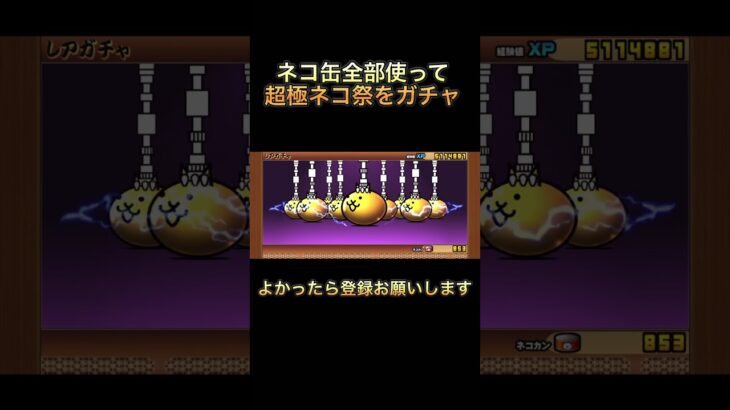 にゃんこ大戦争猫缶全部使って超極ネコ祭をガチャ！#にゃんこ大戦争 #超極ネコ祭