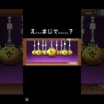 【にゃんこ大戦争】まじで……？？？？？#にゃんこ大戦争 #にゃんこ #超極ネコ祭 #伝説レア #イザナミ #イザナギ #神引き