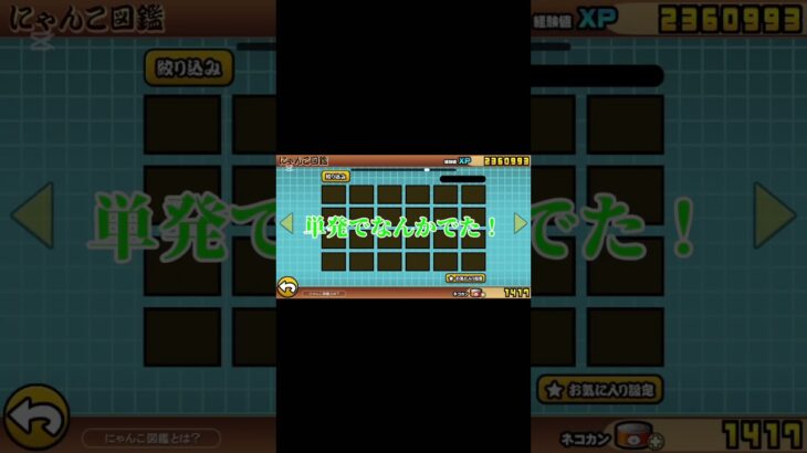 凄いっしょ？#にゃんこ大戦争 #にゃんこ #伝説レア #ガチャ神引き