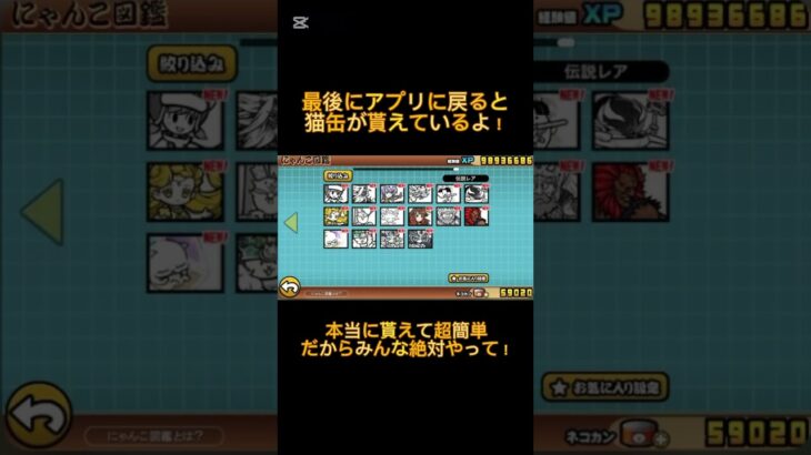 【にゃんこ大戦争】猫缶が無料で貰える！#youtubeshorts #shorts #おすすめ #にゃんこ大戦争 #にゃんこ #にゃんこ大戦争攻略 #ゲーム #無料