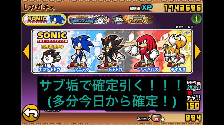 自称上級者が0から始めるにゃんこ大戦争#6