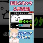 【1分で分かる】狂乱のタンクに必ず勝つ方法！【初心者】【にゃんこ大戦争】