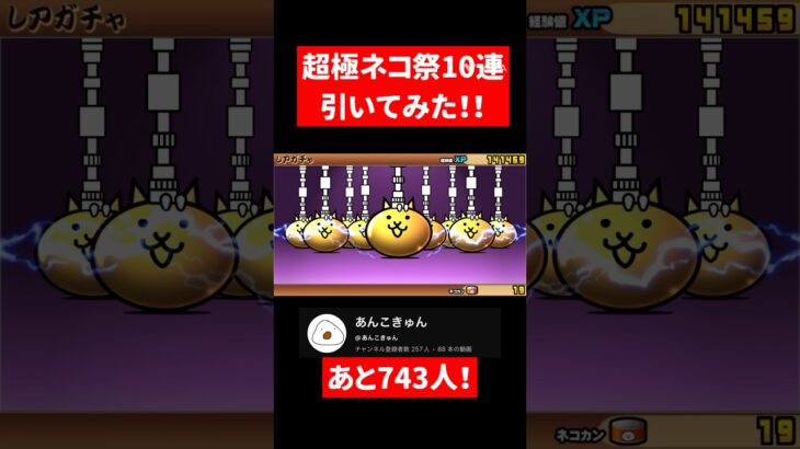 超極ネコ祭10連引いてみた！！#にゃんこ#にゃんこ大戦争 #おすすめ #shorts #バズれ #拡散希望 #すごい #神引き#爆死#超激レア#レア#にゃんこ大戦争初心者