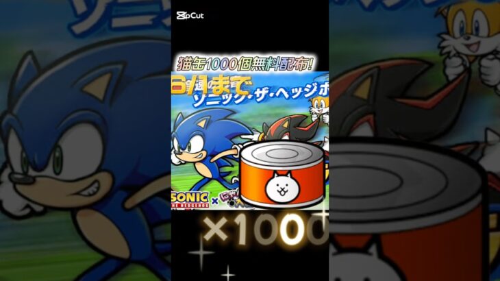 にゃんこ大戦争 猫缶1000個配布！！#にゃんこ大戦争 #にゃんこ大戦争10周年 #にゃんこ大戦争ガチャ #ソニック #sonicthehedgehog #sonic #short