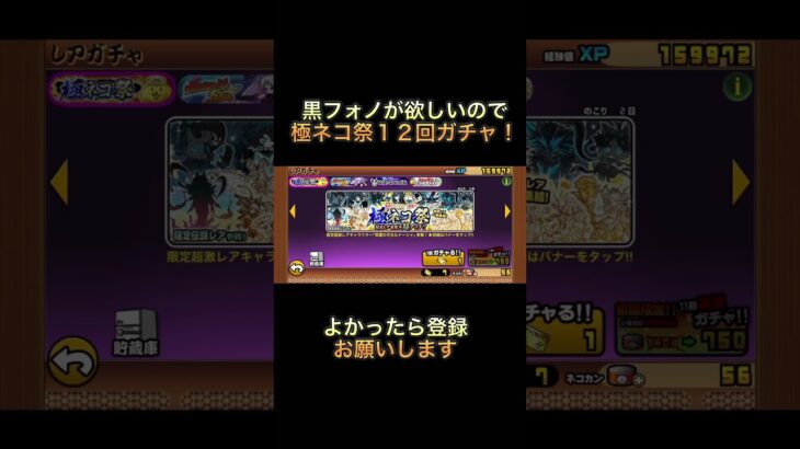 #にゃんこ大戦争  にゃんこ大戦争　黒フォノが欲しいので極ネコ祭12回ガチャ！