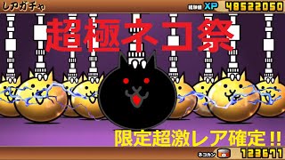 にゃんこ大戦争 無課金の本気のガチャ 限定超激レア確定！神引き？超極ネコ祭 12と1/2周年記念