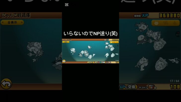 19連したのに…#にゃんこ大戦争 #ガチャ神引き #shorts