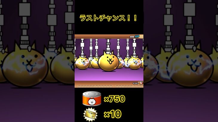 【にゃんこ大戦争】超極ネコ祭21連ガチャ引いてみた！#shorts