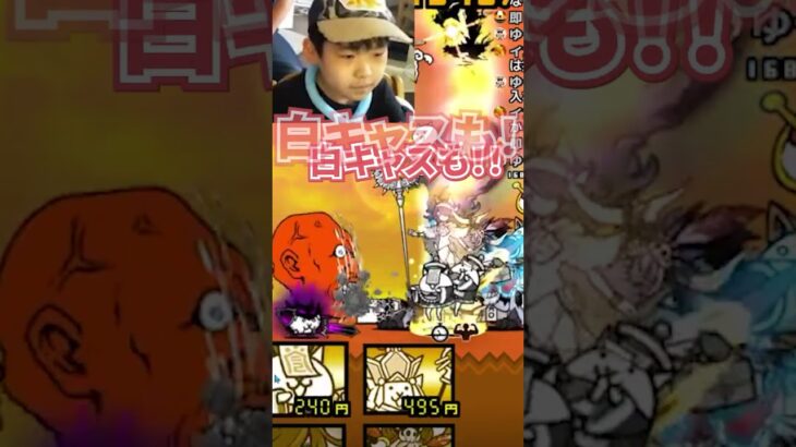 大狂乱のバトル降臨（最凶戦士）に挑戦！その２【にゃんこ大戦争】#攻略 #狂乱　バトル　ゲームプレイ生配信255の切り抜き