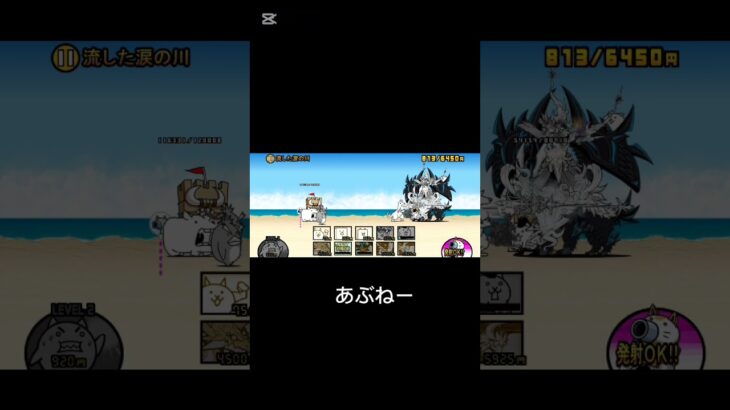 3日目#にゃんこ #にゃんこ大戦争