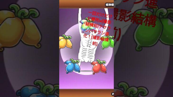 一回だけガチャ！&テサランパサラン進化！#にゃんこ大戦争 #ゲーム #スプラトゥーン3