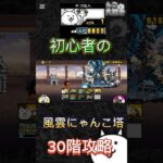 ネコ仙人討伐‼️#にゃんこ大戦争 #にゃんこ大戦争初心者 #にゃんこ大戦争レアキャラクター第3形態おすすめ #にゃんこ大戦争最強キャラクター #にゃんこ大戦争攻略 #thebattlecats