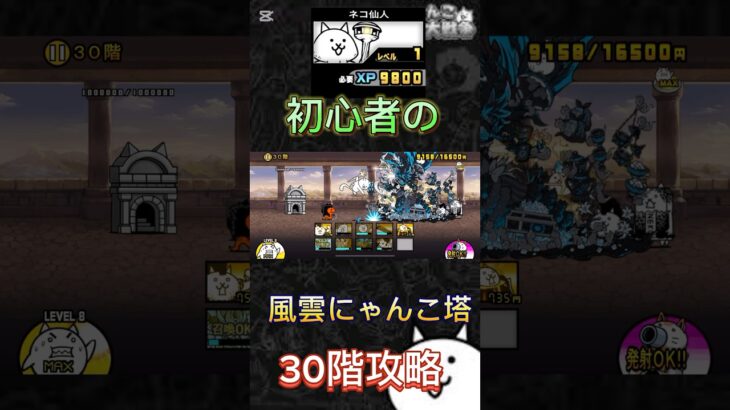 ネコ仙人討伐‼️#にゃんこ大戦争 #にゃんこ大戦争初心者 #にゃんこ大戦争レアキャラクター第3形態おすすめ #にゃんこ大戦争最強キャラクター #にゃんこ大戦争攻略 #thebattlecats