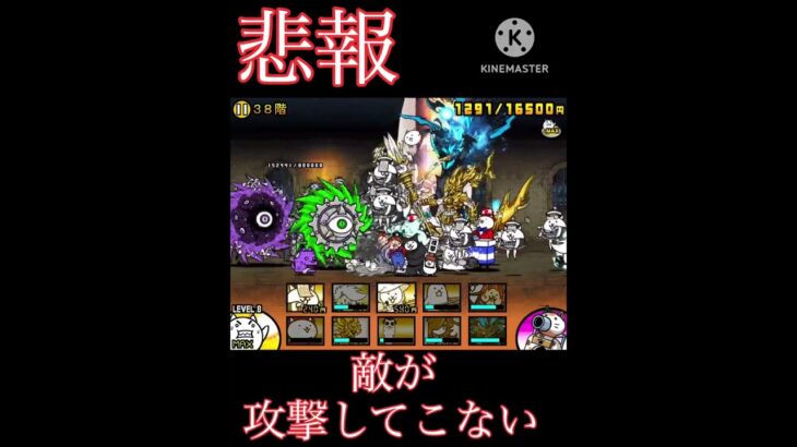 風雲にゃんこ塔：38階攻略！！　#shorts #にゃんこ大戦争 #にゃんこ #バズれ #にゃんこ塔 #雑魚
