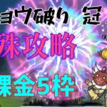 【にゃんこ大戦争】ドジョウ破り 冠２無課金5枠 特殊攻略