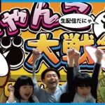 蒼いタマゴをネコスマッシュにして、開国してください！に挑戦！異次元コロシアムにも挑戦！【にゃんこ大戦争】ゲームプレイ生配信811【無課金です】