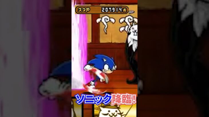 【ソニックコラボ】上位６%‼ ネコ道場に挑戦‼【にゃんこ大戦争】【生配信819の切抜き】【無課金です】 #ゲーム実況