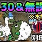 にゃんこ別塔【古】9階  Lv.30以下＆本能なし＆無課金編成でキャッツアイ闇ゲット！　にゃんこ大戦争