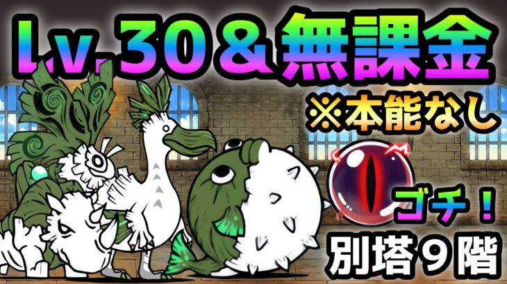 にゃんこ別塔【古】9階  Lv.30以下＆本能なし＆無課金編成でキャッツアイ闇ゲット！　にゃんこ大戦争