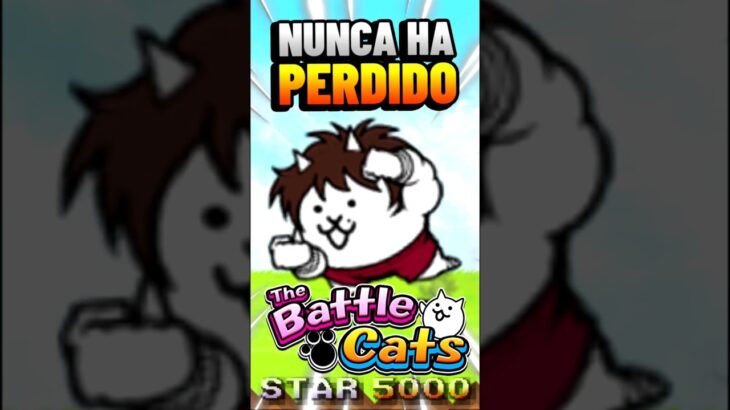 Baki Cat esta Invicto | #thebattlecats BTC #thebattlecats #にゃんこ大戦争 #humor #tbc