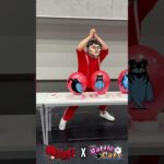 Kaoru Hanayama The Battle Cats にゃんこ大戦争