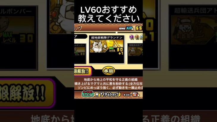 次のLv60は誰かな〜　#にゃんこ大戦争#にゃんこ
