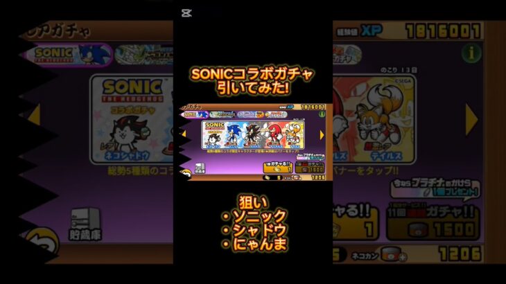 SONICコラボガチャ引いてみた！　＃shorts　＃にゃんこ大戦争　＃ソニック　＃ガチャガチャ