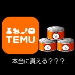 Temuで猫缶が貰えるのは本当？