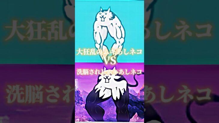 【強さ比べ】大狂乱のムキあしネコVS洗脳されしムキあしネコ【にゃんこ大戦争】#にゃんこ大戦争 #強さ比べ #shorts