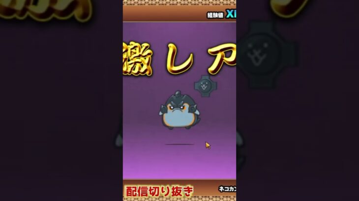 【にゃんこ大戦争】#４３０　今回の超極ネコ祭１６０連以上で当たったキャラを紹介！ダイジェスト版！YouTube&TikTok同時配信してるよー【ソシャゲ配信】＃shorts