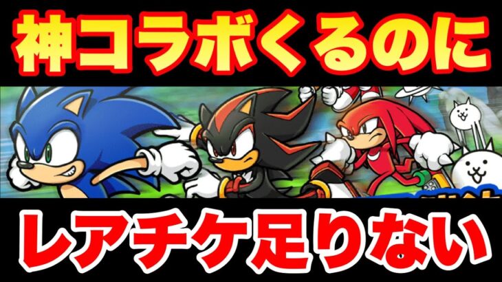 ソニックコラボくるのにもうレアチケ足りない人はこうするしかない　#にゃんこ大戦争　#battlecats