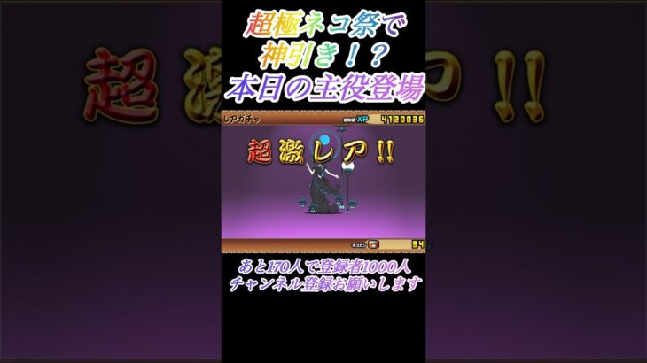 【にゃんこ大戦争】超極ネコ祭で神引き！？本日の主役登場!!!#shorts