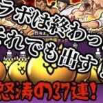 【にゃんこ大戦争】刃牙コラボ終わったがあえて今に出す！　#にゃんこ大戦争  #ガチャ  #無課金  #shorts