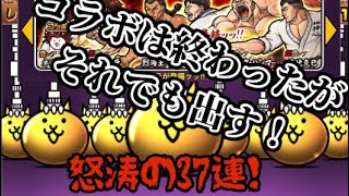 【にゃんこ大戦争】刃牙コラボ終わったがあえて今に出す！　#にゃんこ大戦争  #ガチャ  #無課金  #shorts