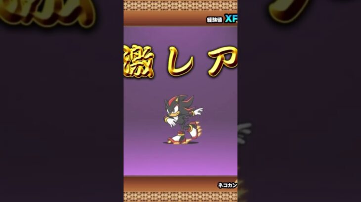 多分神引き#shorts#にゃんこ大戦争#ソニック#ガチャ