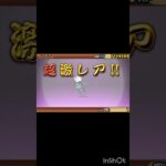 なけなしの猫缶で超極猫祭引いてみたら…      (にゃんこ大戦争)  #shorts  #にゃんこ大戦争 #game #games