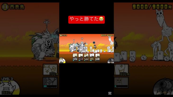 オイラン最強！#にゃんこ大戦争 #ネタ#西表島 #thebattlecats #許して