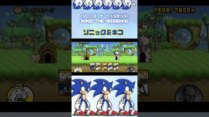 ソニック＆ネコϵ( ‘Θ’ )϶ #thebattlecats #にゃんこ大戦争 #猫 #shorts #NYANKOTHECAT #sonicthehedgehog