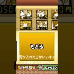 にゃんこ大戦争初心者ですアドバイスお願いします