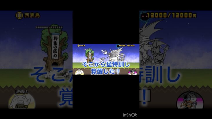 『ネコムート』再修正版#にゃんこ大戦争