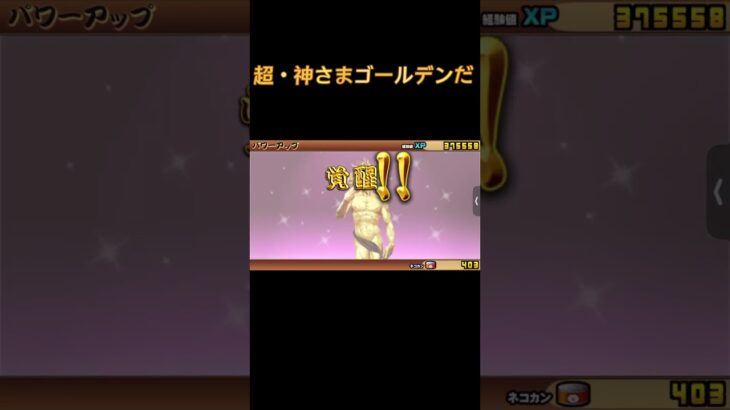いぇーい！！#にゃんこ大戦争