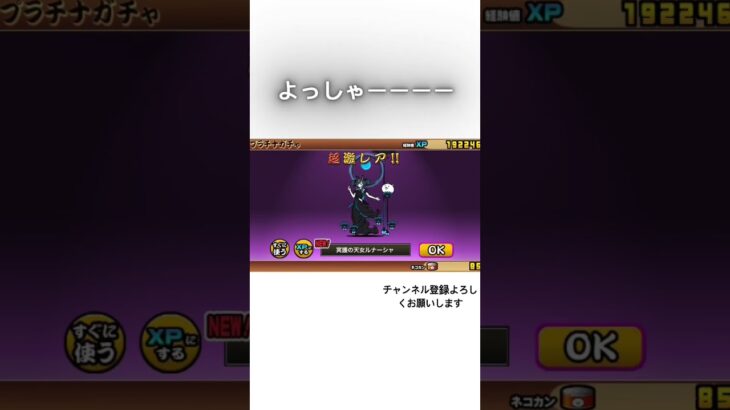 この後黒イズも当たった#もち #にゃんこ大戦争