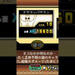 無課金で嬉しい限定のプラス値 #にゃんこ大戦争 #にゃんこ #にゃんこ大戦争最強キャラクター #しょーと #にゃんこゲームス