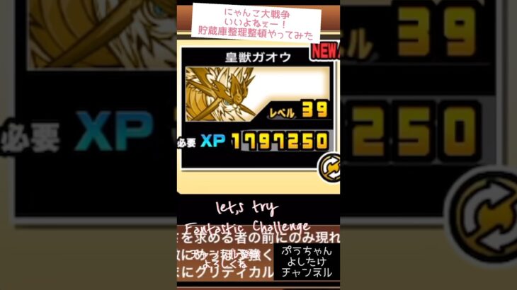 【幼獣ガオ！レベルアップ！進化！最強レベル！やってみる】#にゃんこ大戦争 #ガチャ