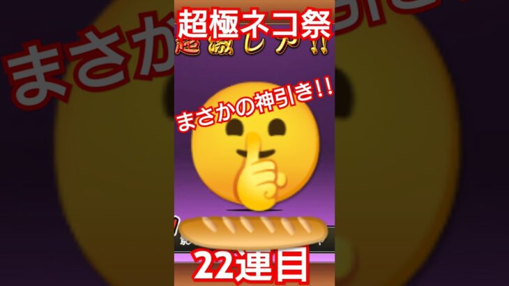 神引きしました#にゃんこ大戦争 #ガチャ#超極ネコ祭 #神引き