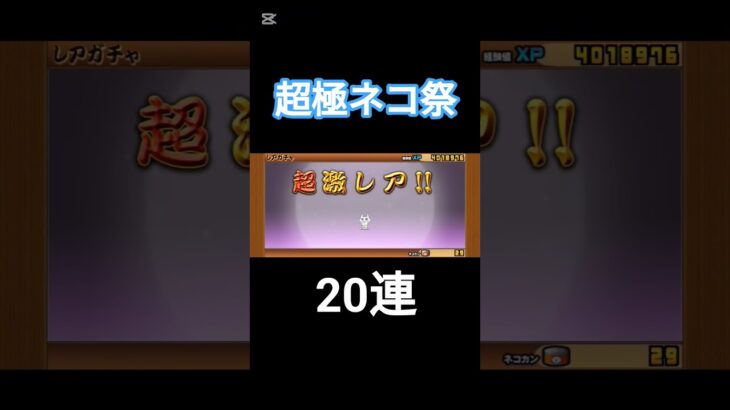 超極ネコ祭！#にゃんこ大戦争