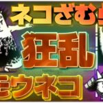 味方キャラ「大狂乱のスモウネコ」と「大狂乱のネコざむらい」を同時に使用【にゃんこ大戦争】