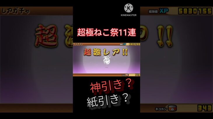 かみ引きなるか？！#にゃんこ大戦争 #ガチャ