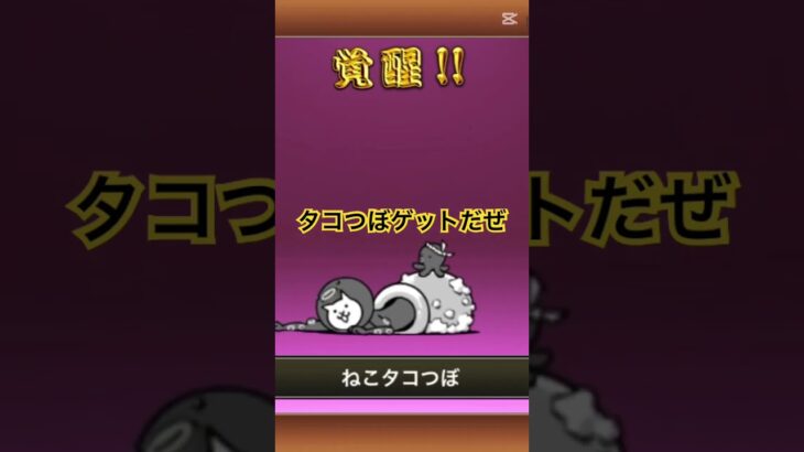 よっしゃー‼️#にゃんこ大戦争 #音ハメ