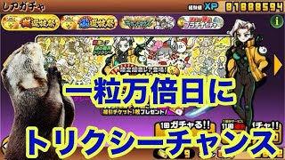 超選抜祭‼️【にゃんこ大戦争】#吉日ガチャ #にゃんこ大戦争ガチャ